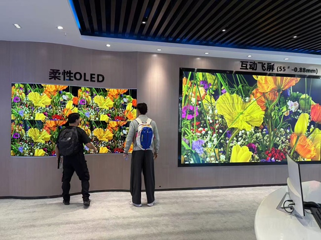 法國客戶組團到華邦瀛學習LED顯示屏維修的真實經(jīng)歷