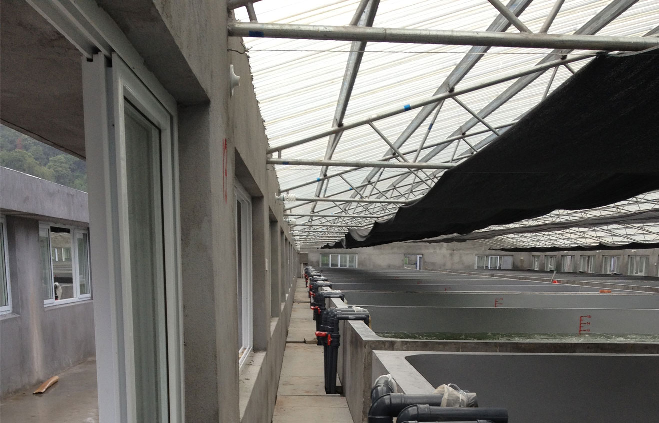 三門綠雄苗場(chǎng)PVC管道建設(shè)工程