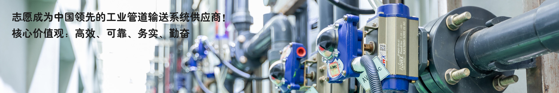 美標(biāo)SCH80系列